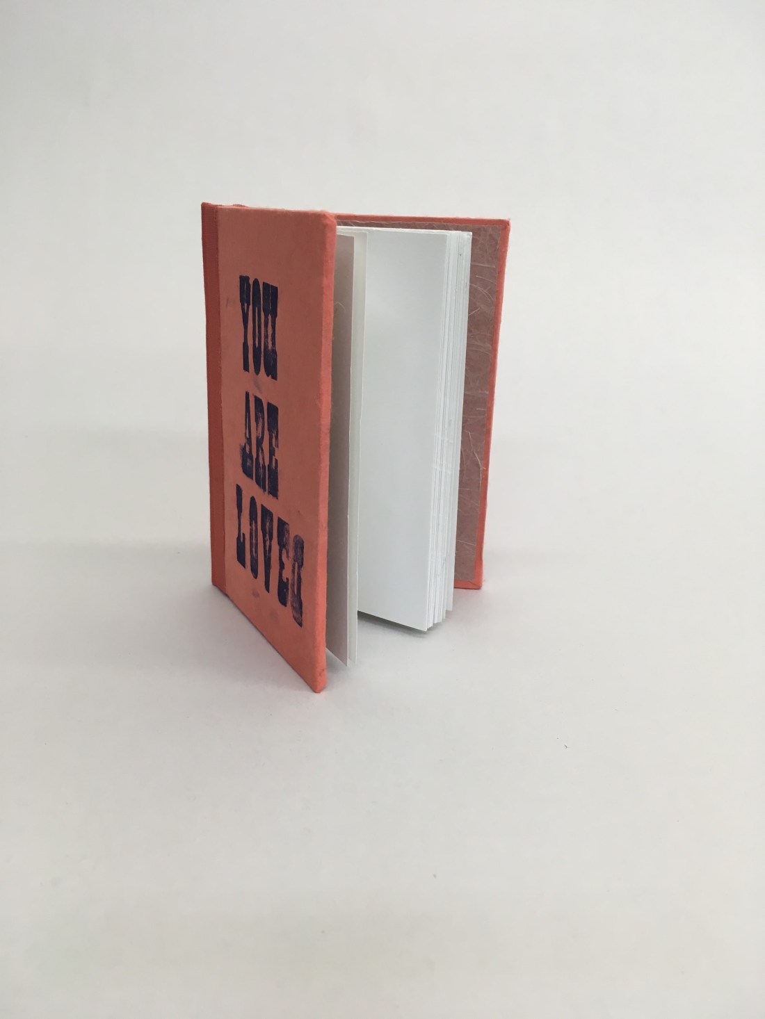 D07A89F3-A64C-4CD7-A0F0-3C588DF7126B